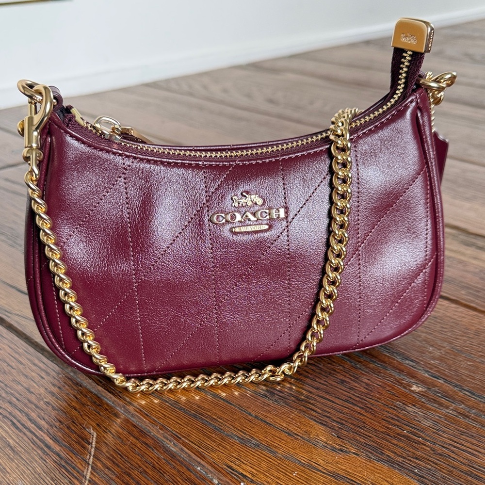 NWT Coach Teri Crossbody Mini